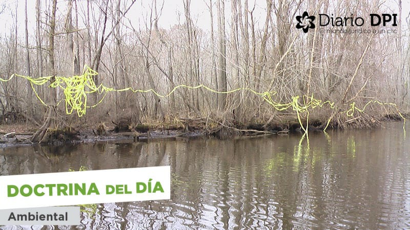 ¿A partir de qué momento deja de ser precaución de un riesgo para tratarse sólo de una situación de vida cotidiana ?