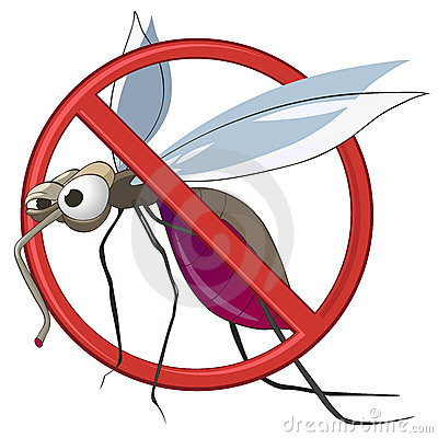 #Descacharrización: Prevención del Dengue, Zika y Chikungunya en Bahía Blanca