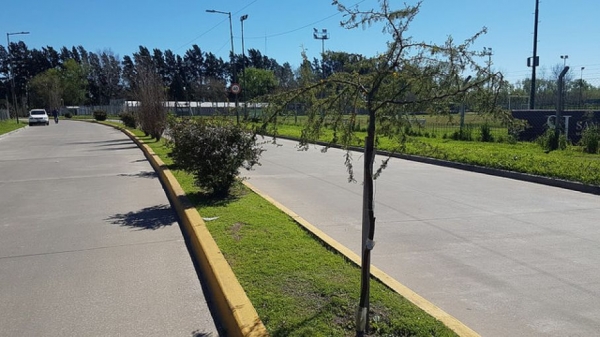 #SanIsidro: 1er kilómetro de boulevares de alta biodiversidad