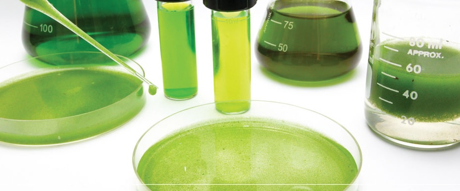 Biorrefinerías como producción sostenible
