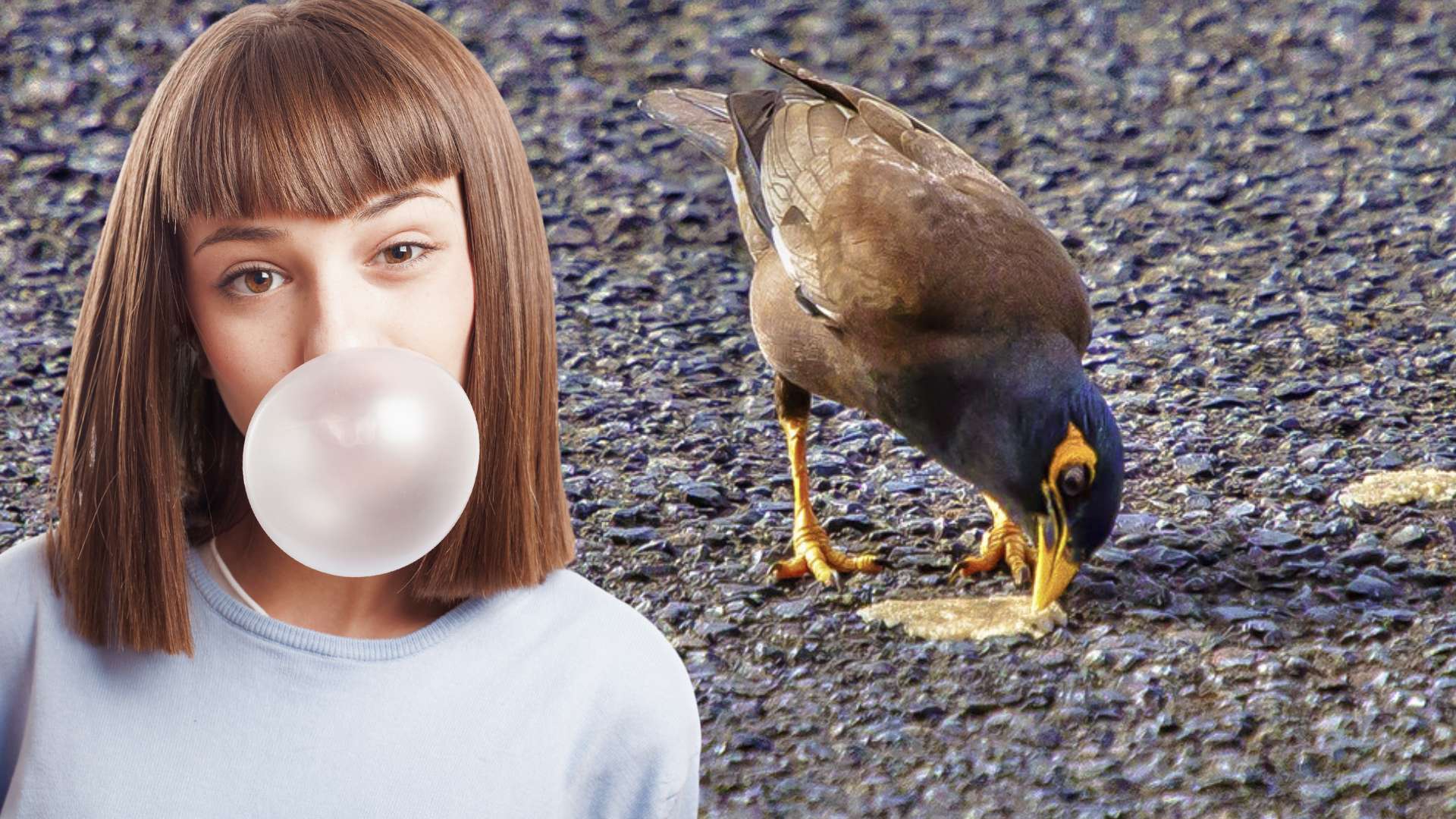 El lado oscuro del chicle: una amenaza para el ambiente