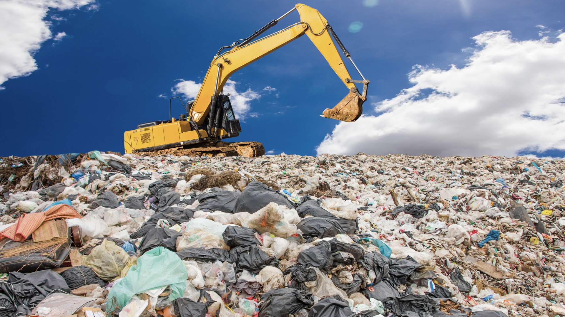 De Basura a Recurso: Cómo Transformar Residuos en Soluciones Sostenibles
