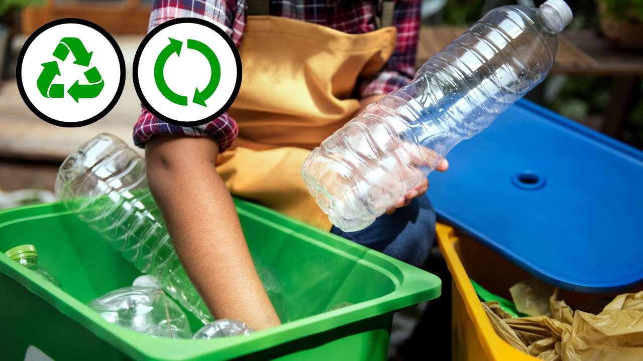 ¿Reciclamos o Solo Lo Aparentamos? La Verdad Detrás de Nuestros Hábitos