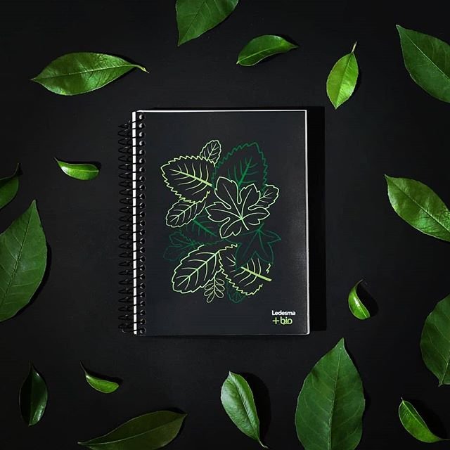 El 1er cuaderno Sustentable del Mundo es de Jujuy