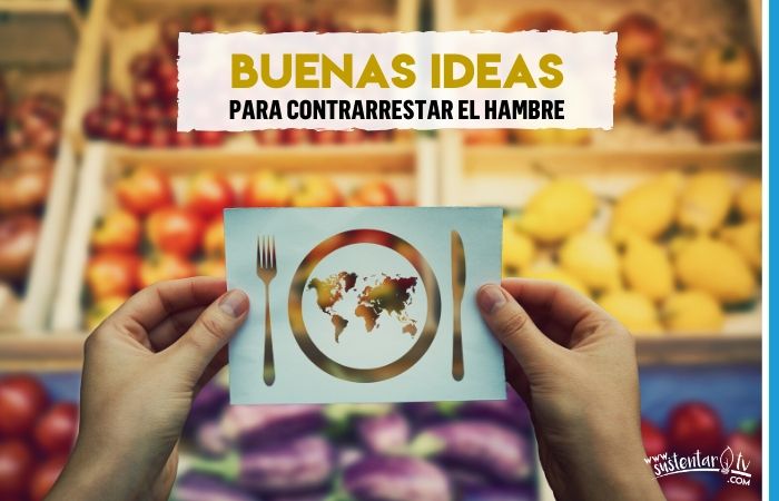 Buenas ideas para contrarrestar el hambre