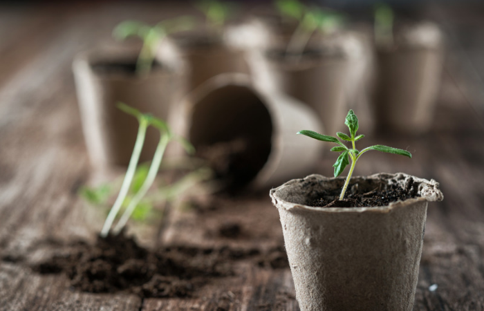 Sábado de Ecocanje: Bahía Blanca