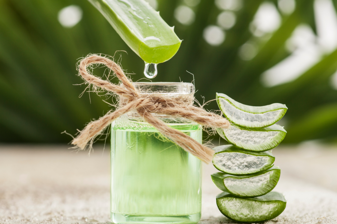 10 usos para el Aloe Vera