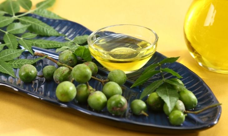 Aceite de Neem: un aliado para tu huerta y con uso medicinal