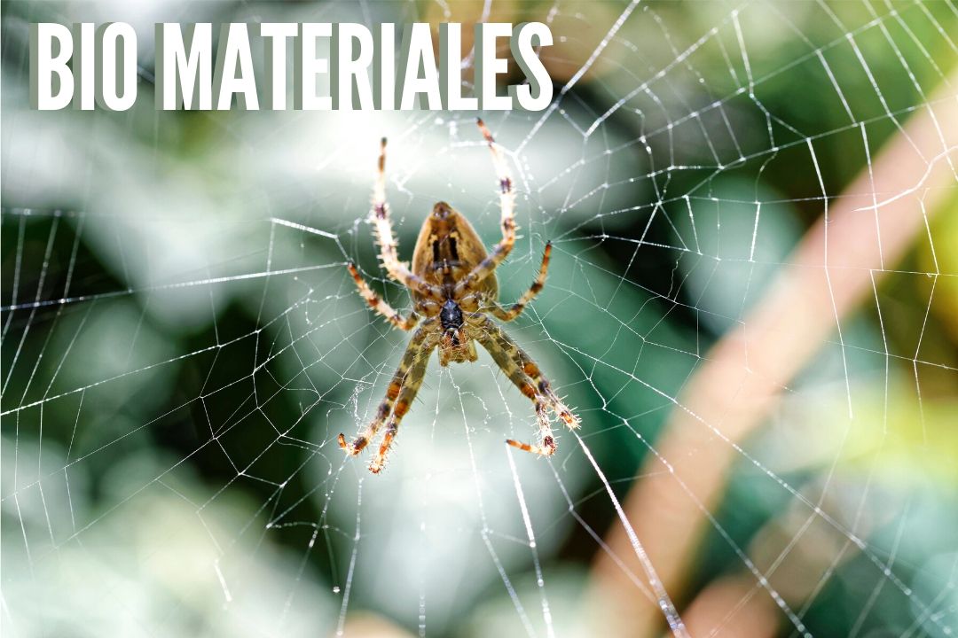 Seda de las arañas, ejemplo para diseñar materiales artificiales