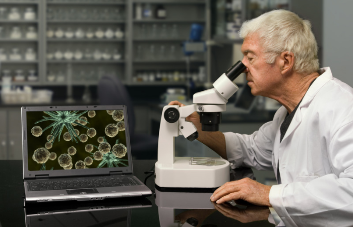 Textiles hechos con biomateriales