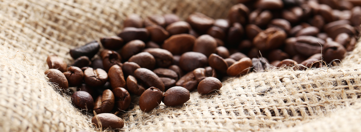 Un plan para reducir la deforectación causada por el cacao