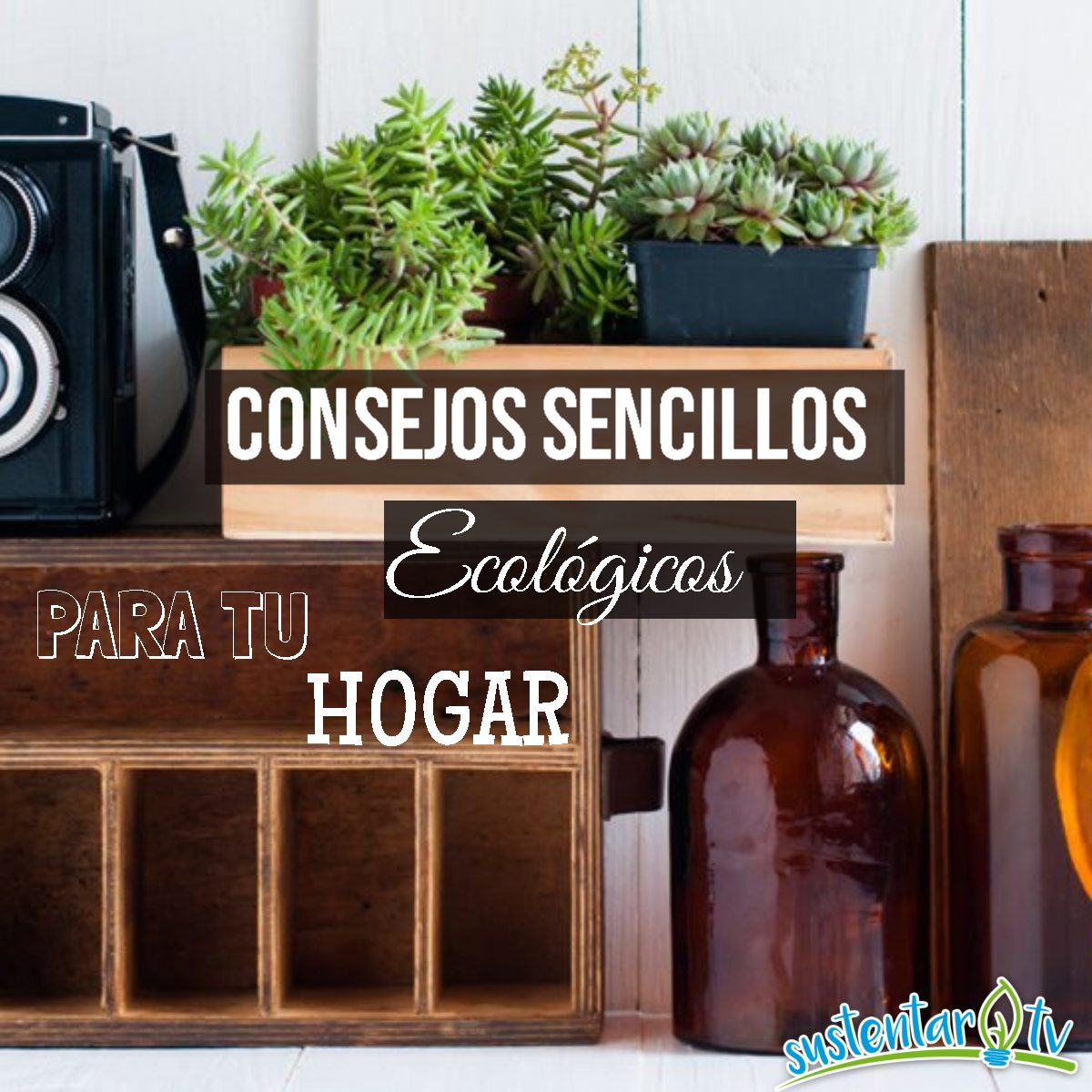 CONSEJOS SENCILLOS ECOLÓGICOS PARA tu HOGAR