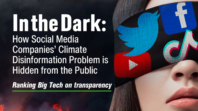 Cambio climático y fakenews: ecologistas exigen más transparencia en redes sociales