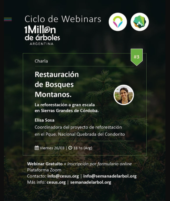 Restauración de Bosques Montanos, un nuevo encuentro del Ciclo de Webinars
