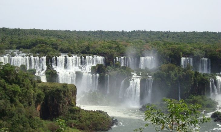 En Misiones disminuyó 50 % la deforestación desde la aplicación de la ley de Bosques