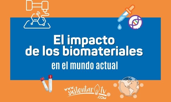 Increíbles Ecodiseños con hongos