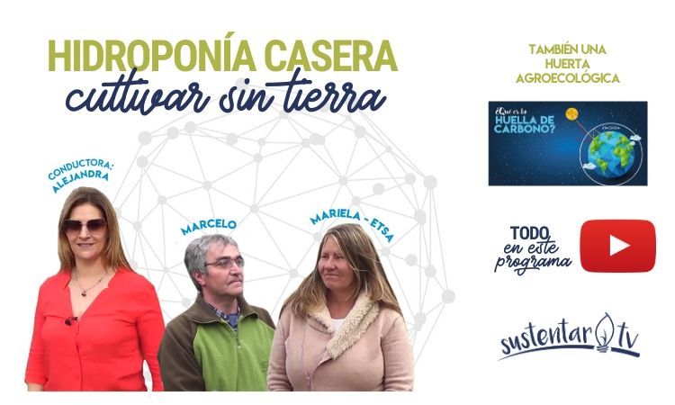 Hidroponia casera: cultivar sin tierra