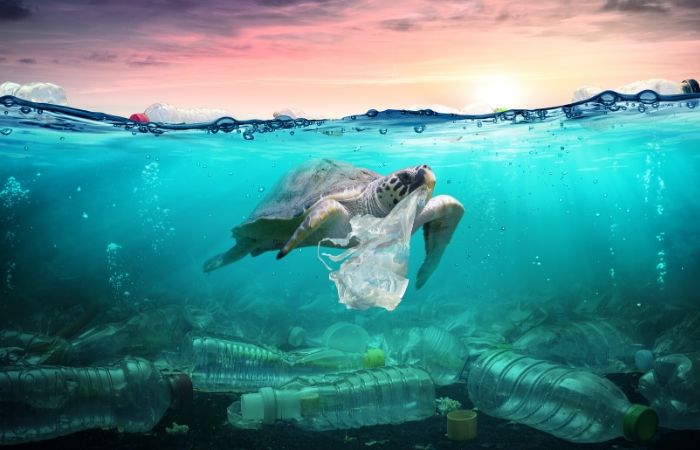 Mares limpios: NUNCA ES TARDE para empezar