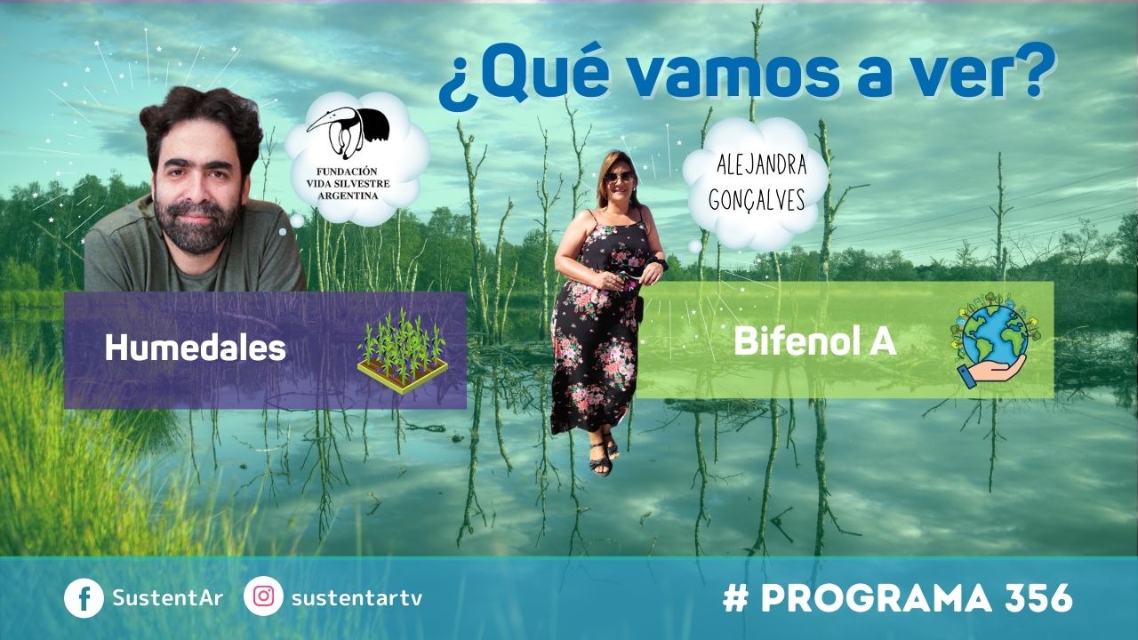 Servicios ecosistémicos de los humedales