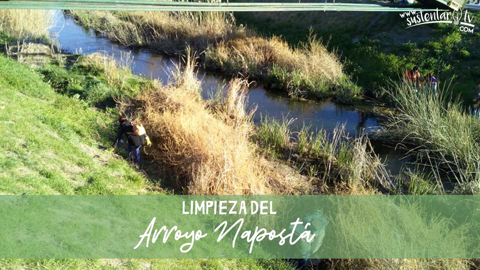 Limpiaron el Arroyo Napostá y mira con qué se encontraron..