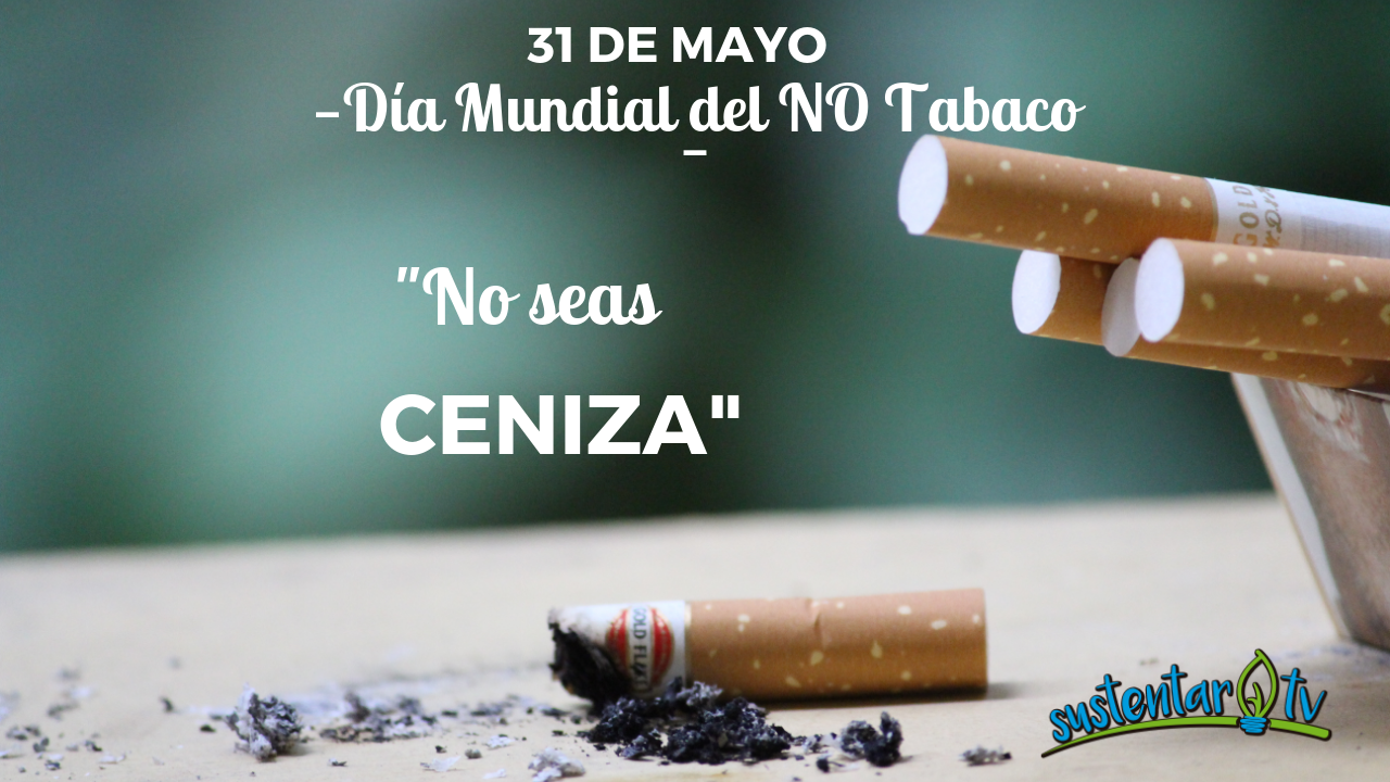 31 de Mayo: Día Mundial SIN TABACO