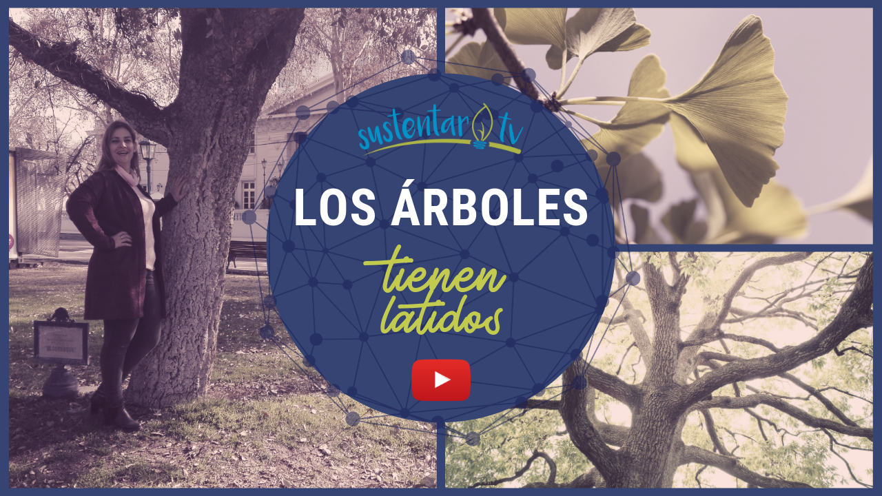 Árboles ¿con latidos?