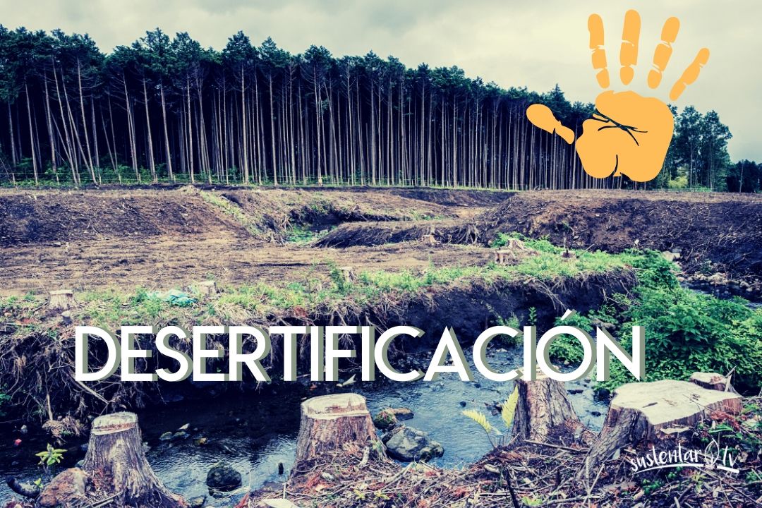 Desertificación