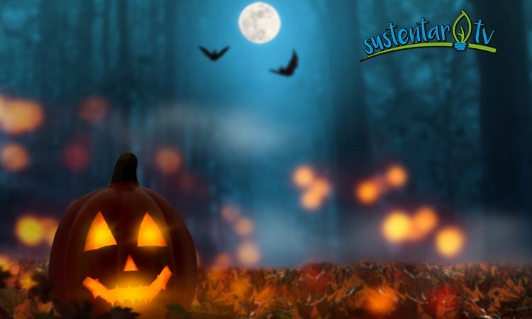 ideas para reducir los plásticos en Halloween