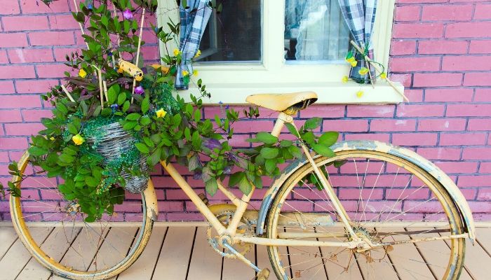 Curiosas ideas para reciclar y decorar con plantas