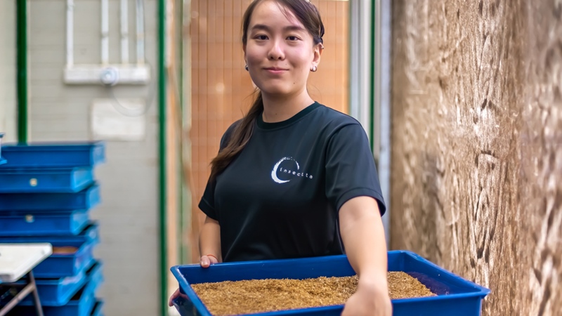 Granja de bichos:  Singapur convierte los desechos en biomateriales