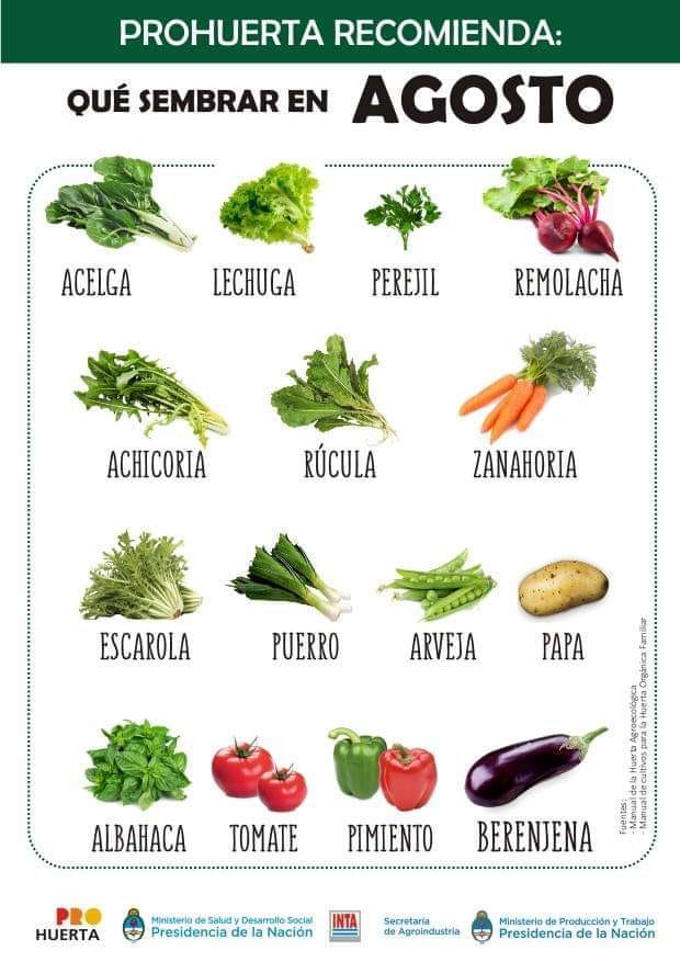 ¿Qué sembrar en invierno?