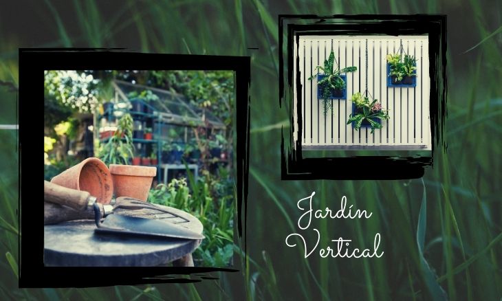 Jardín vertical paso a paso