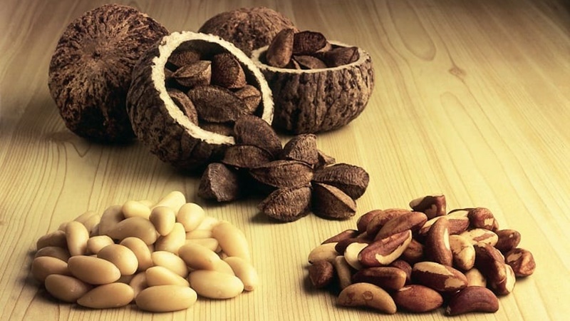 Cáscaras de nuez para tratar la contaminación