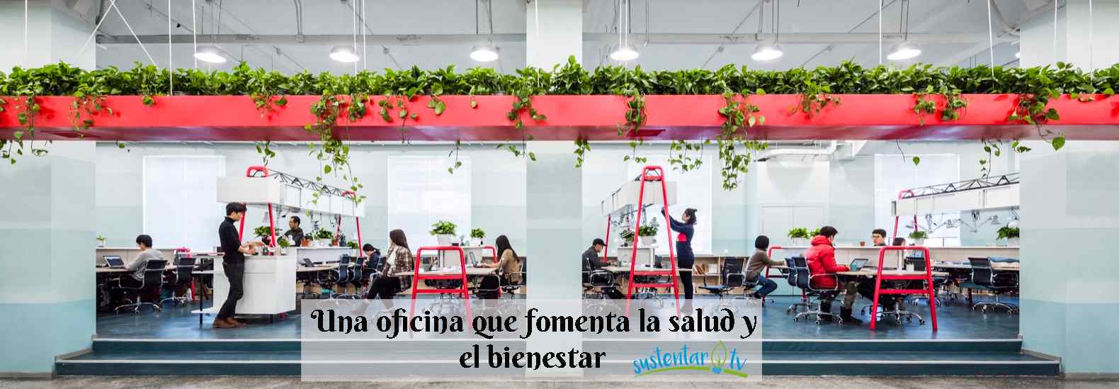 Una oficina que fomenta la salud y el bienestar