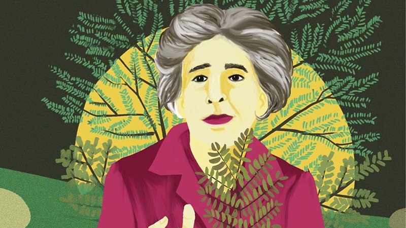 Ley Yolanda para la capacitación ambiental obligatoria de funcionarios