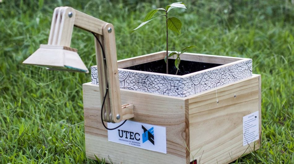 ¿La naturaleza puede dar luz?: Desde Perú crean la Plantalámpara para habitantes sin electricidad