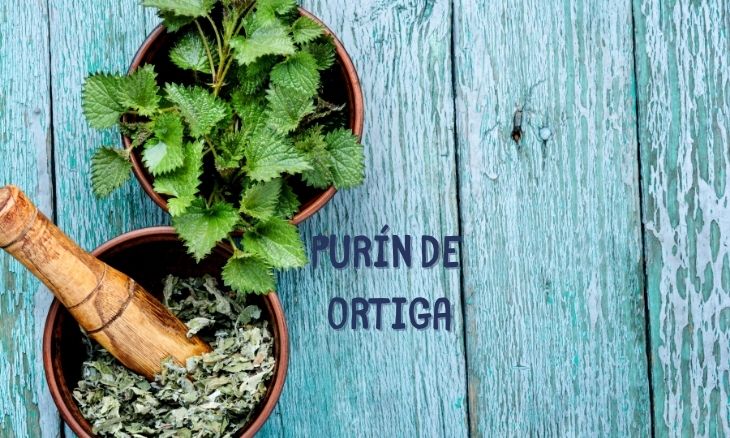 Purín de ortigas: paso a paso para tu jardín
