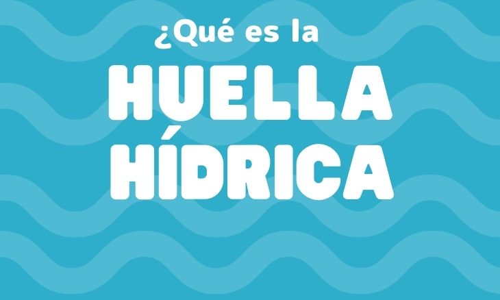 ¿Qué es la huella hídrica? Estas cifras te van a sorprender…