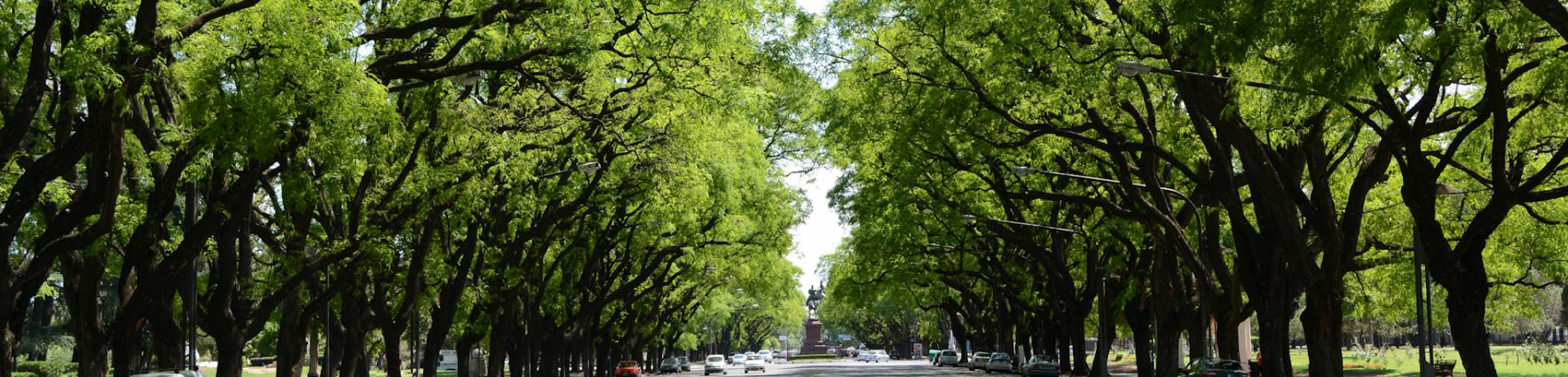 Rosario, una ciudad verde