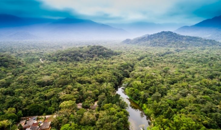 5 de junio, Día Mundial del Medio Ambiente: Restaurar los ecosistemas