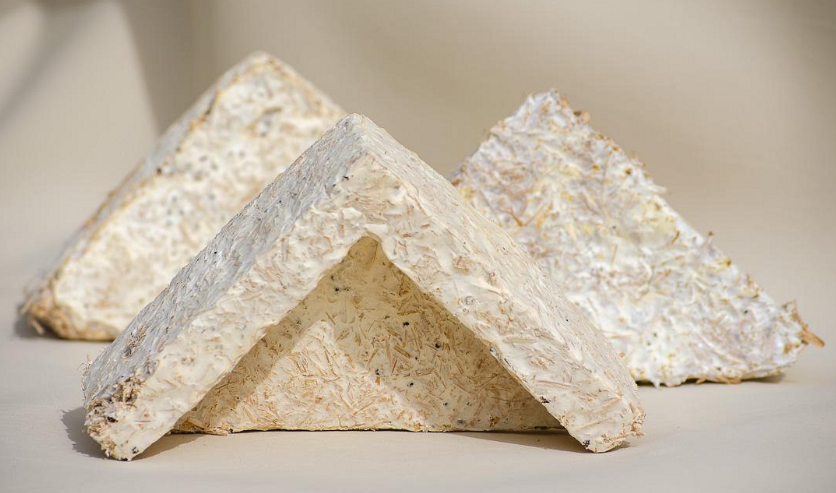 Biomateriales: el emprendimiento que produce empaques y objetos de diseño con hongos