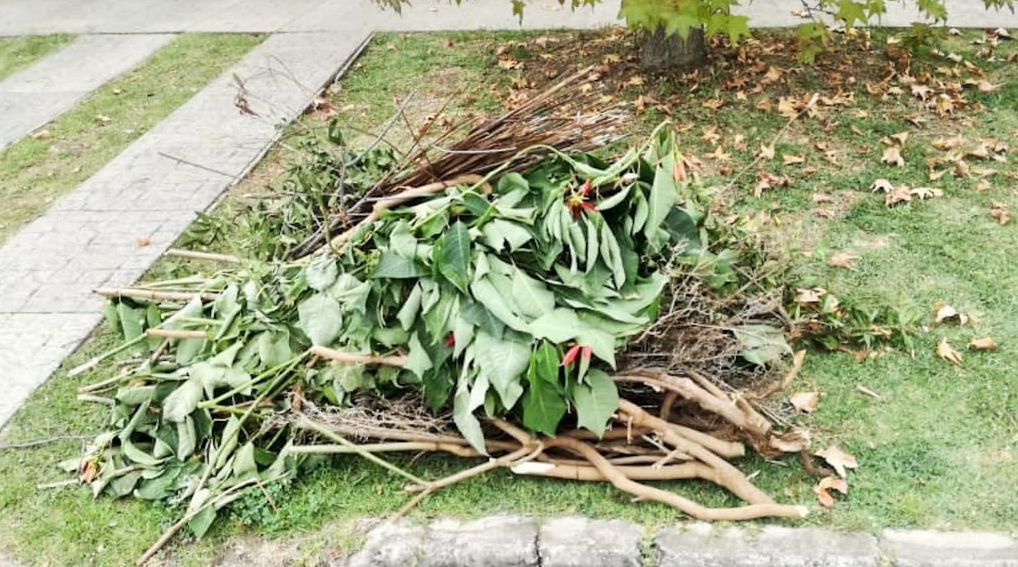 Realizarán un Eco Trueque en Bahía Blanca: de qué se trata