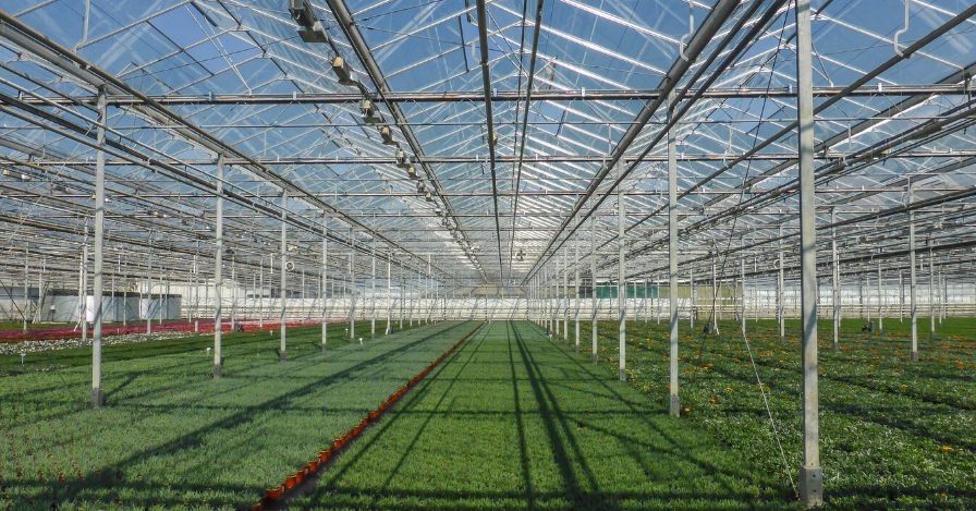 Paneles solares semitransparentes para producción agrícola