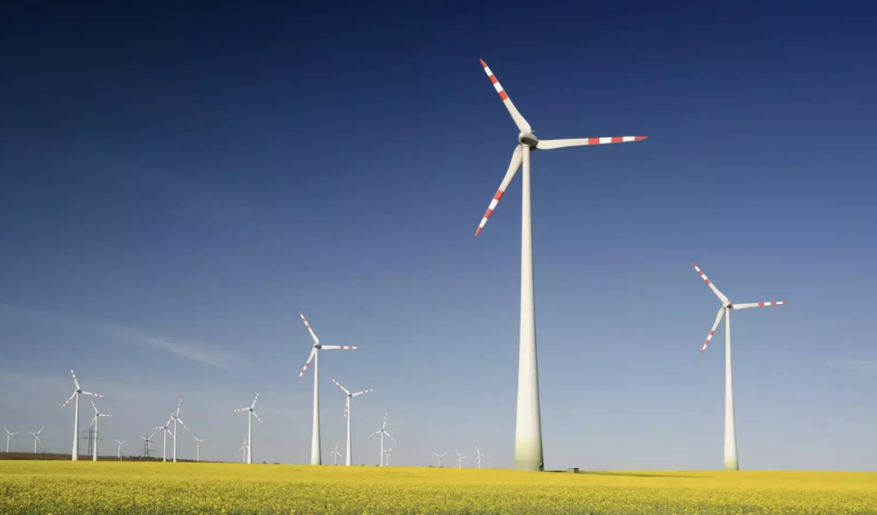 Por qué la crisis actual es una oportunidad para construir una economía verde