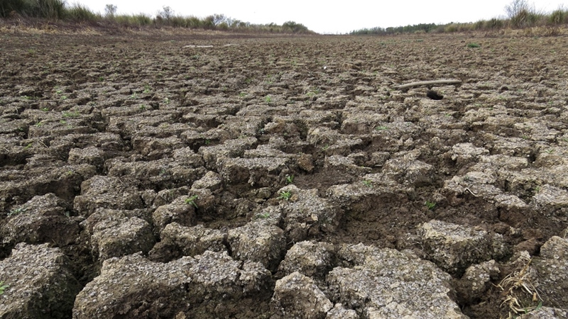 El río Paraná se dirige a una crisis histórica y alertan sobre consumo de agua