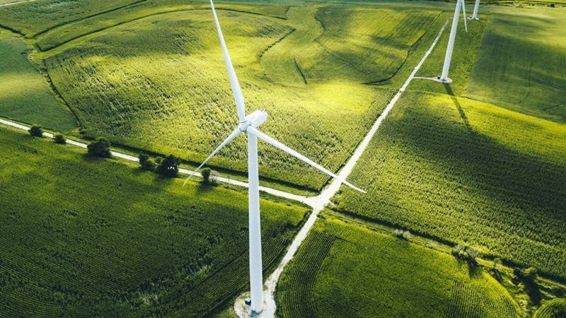 Alimentos energéticamente inteligentes