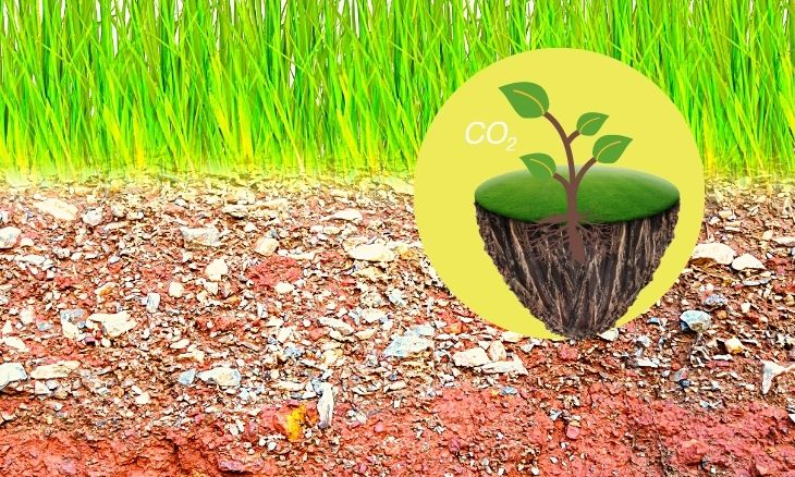 Una gran estrategia de mitigación ¿Qué es el carbono orgánico del suelo?