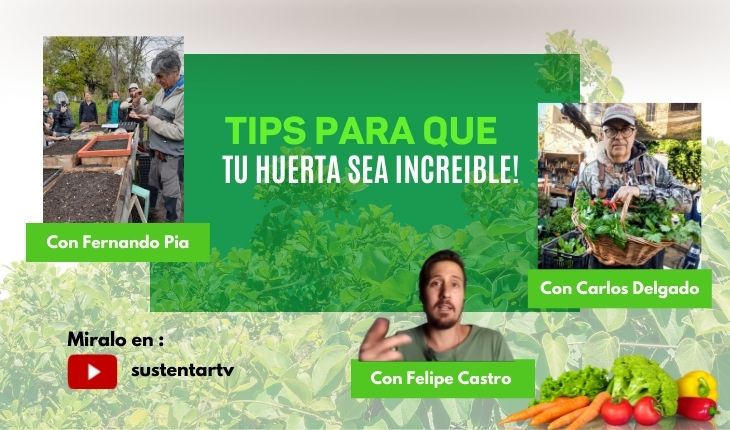 Secretos para una huerta abundante y saludable