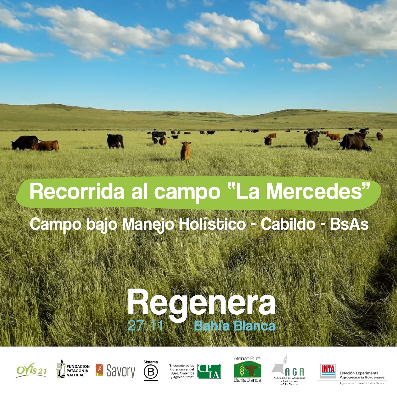 Vení a conocer la ganadería regenerativa
