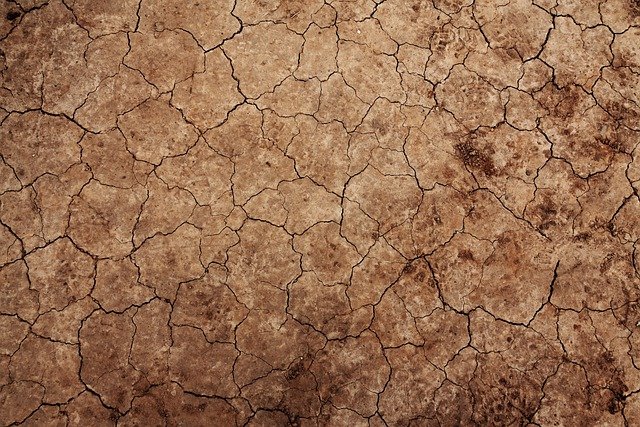 El Calentamiento Global afecta la distribución de parasitosis intestinales